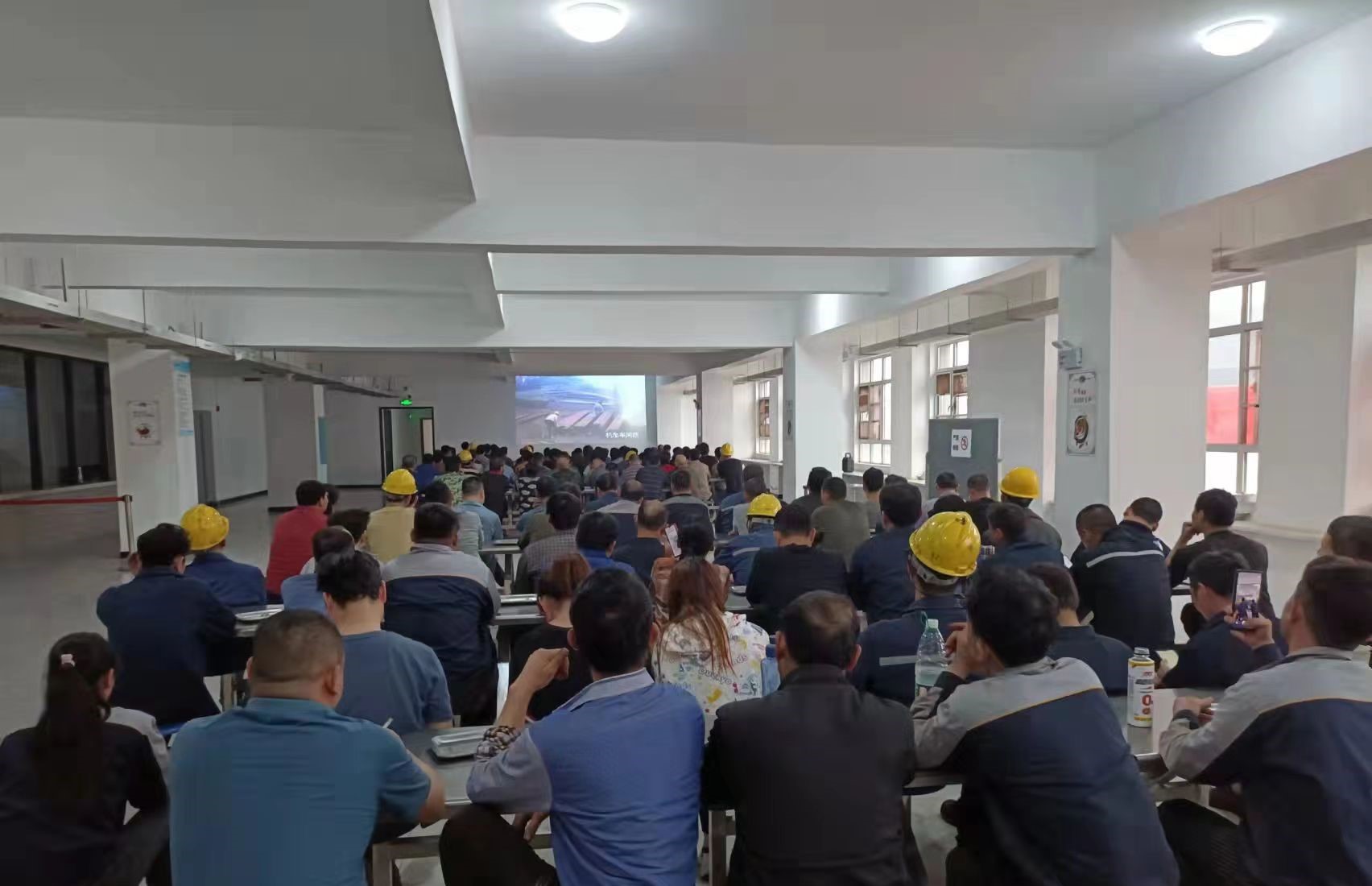 8eba726d-85d0-421e-a2f1-20e773304ef7